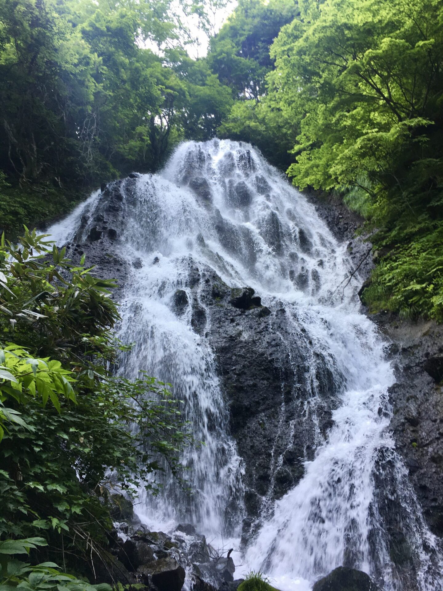 開運出世の滝（不動の滝） - LOVE庄内 e-Towns