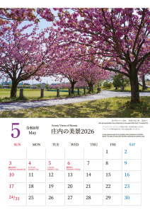 5月