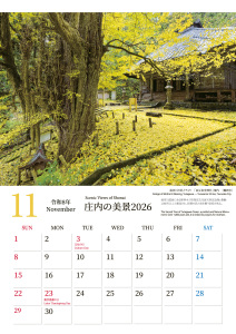 11月